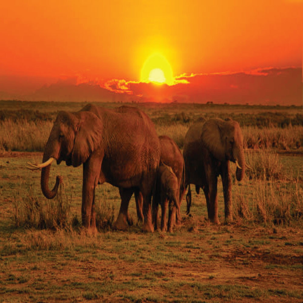 3 DAYS TSAVO WEST NATIONAL PARK