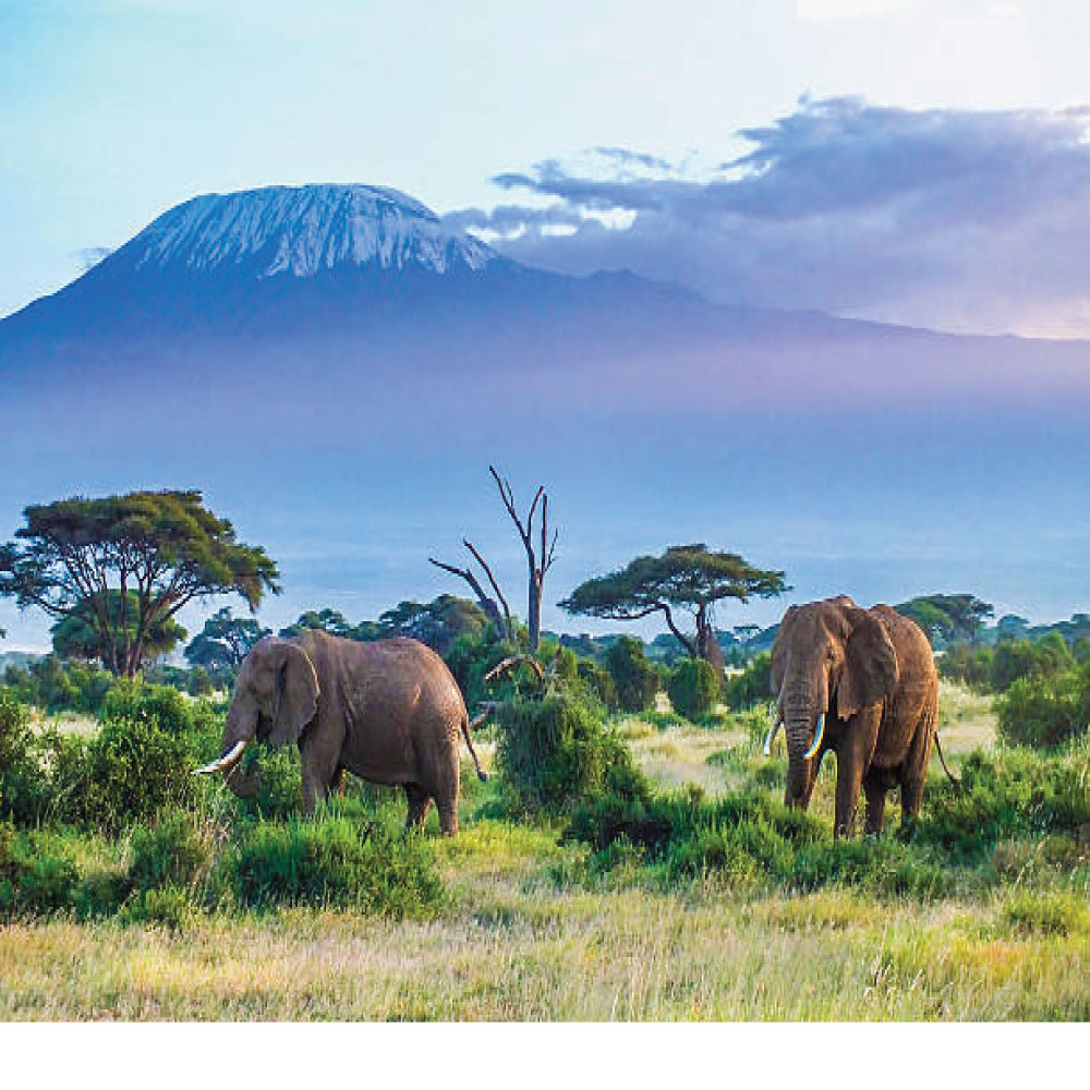 1-3 DAYS AMBOSELI NATIONAL PARK